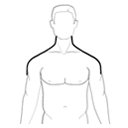 shoulder_curved